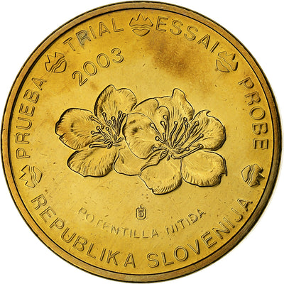 Slowenien, 
            
               20 Euro Cent, 
            
               unofficial private coin