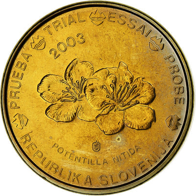 Slowenien, 
            
               10 Euro Cent, 
            
               unofficial private coin