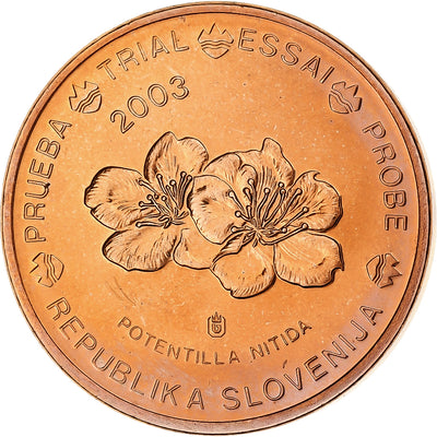 Slowenien, 
            
               2 Euro Cent, 
            
               unofficial private coin