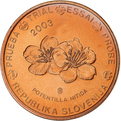 Slowenien, 
            
               5 Euro Cent, 
            
               unofficial private coin